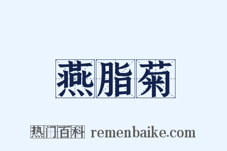 燕脂菊是什么意思的图片